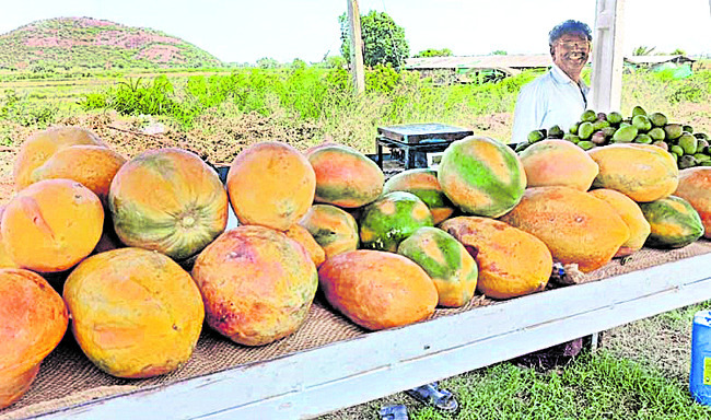 ధర ఢమాల్... రైతు డీలా.. 2