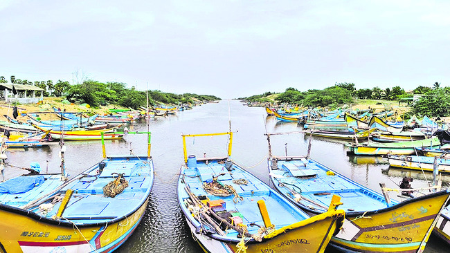 సముద్రాన్ని మింగేసిన పచ్చనేత1