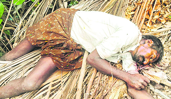 యుద్ధం నశించాలి, ప్రపంచ శాంతి నెలకొనాలి
3