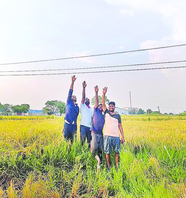 కోతుల దాడిలో చిన్నారికి గాయాలు
2