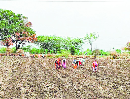 బుధవారం శ్రీ 18 శ్రీ జూన్ శ్రీ 20251