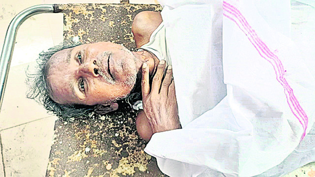 ఆకర్షించిన సైకత మొసళ్లు 3