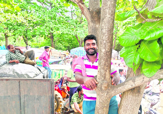 జిల్లాలో దిగజారిన మామిడి ధర
3