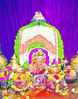 సుందరయ్యగూడ పరిసరాల్లో ఏనుగులు 3