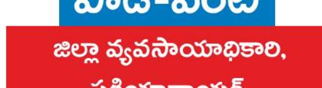 పచ్చి రొట్టతో ప్రయోజనాలు 1