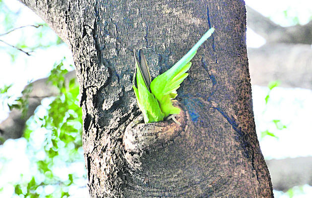 ●నీవుంటే నా జతగా.. నేనుంటా ఊపిరిగా..
1