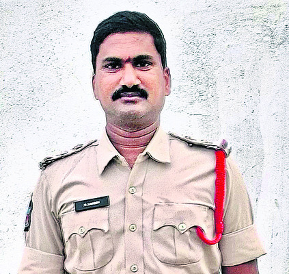 రెచ్చిపోతున్న పోకిరీలు2