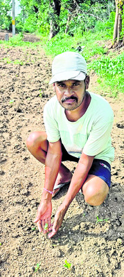చినుకు.. చింత1