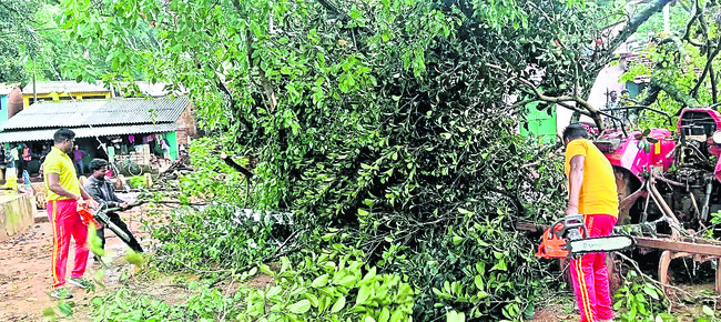 కాంగ్రెస్ విఫలయత్నం 3