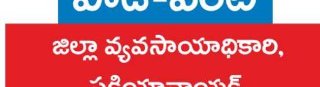 అల్లం సాగు.. లాభాలు బాగు 1