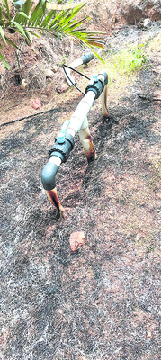 ఆయిల్‌పాం తోటలో అగ్ని ప్రమాదం1