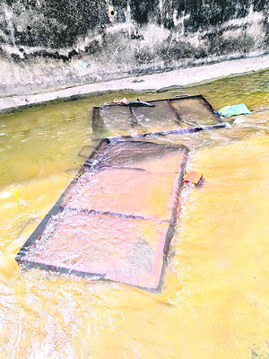 మట్టి కోసం బరి తెగింపు! 1