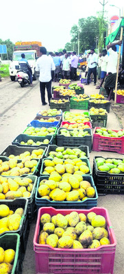 మొగల్తూరు మామి‘డీలా’1