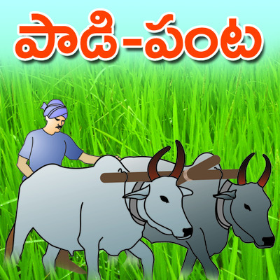 పశువుల ఎరువుతో భూసారం 2