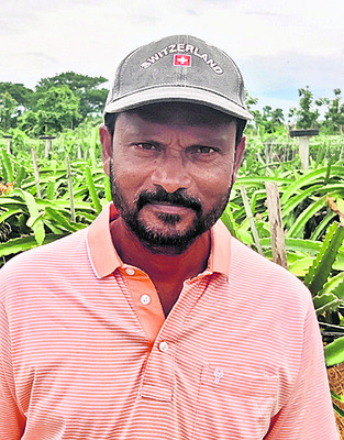 సేంద్రియ బాటలోడ్రాగన్ సిరులు4