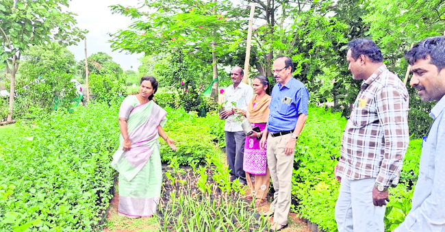 దోస్త్ రిజిస్ట్రేషన్ గడువు పెంపు2