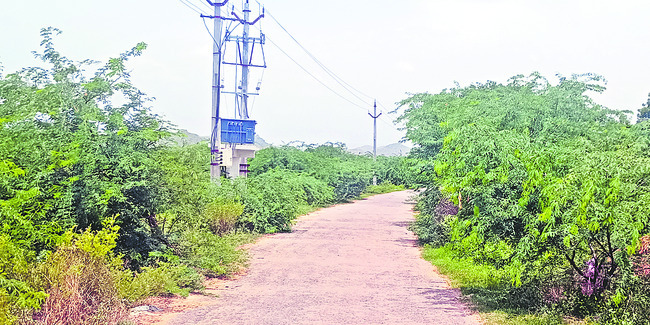 పల్లె రోడ్లు గుల్ల 2