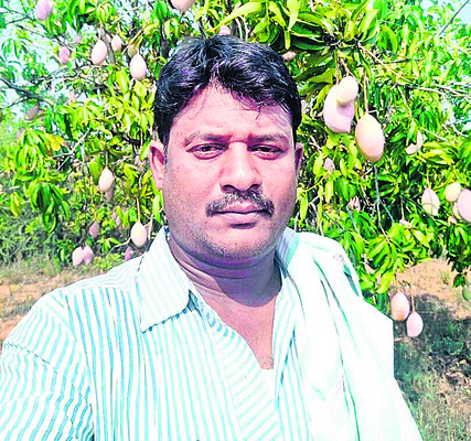ఇటు కోతలు.. అటు దాడులు! 3