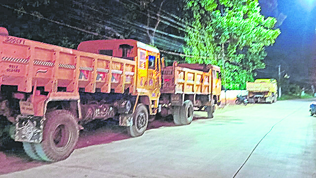 వన మహోత్సవానికి మొక్కలు సిద్ధం 2