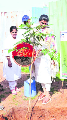 అన్నవరప్పాడుకు పోటెత్తిన భక్తులు 2