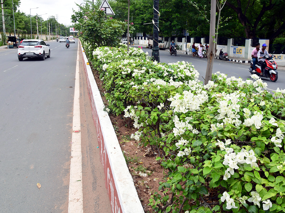 Best Photos of The Week in AP and Telangana Photo Gallery16