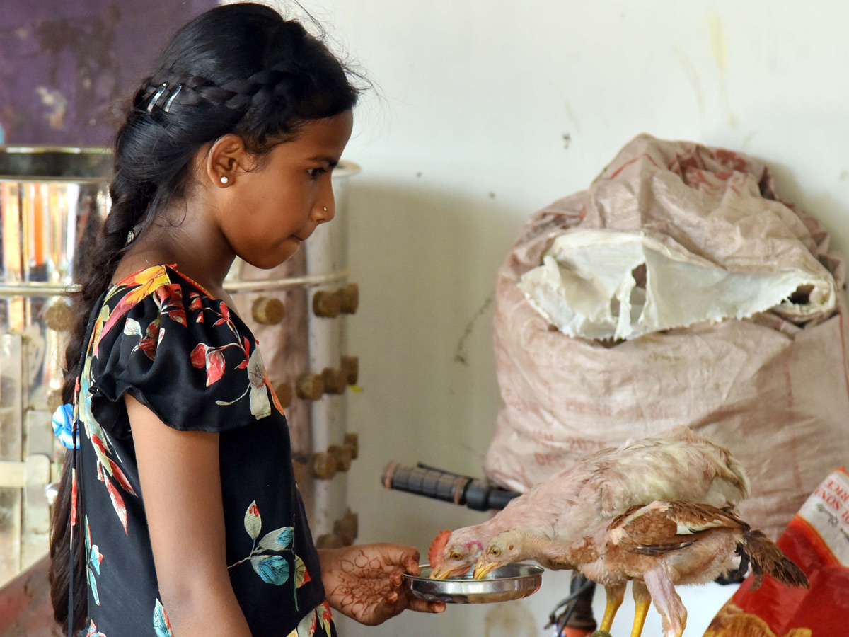 Best Photos of The Week in AP and Telangana Photo Gallery30