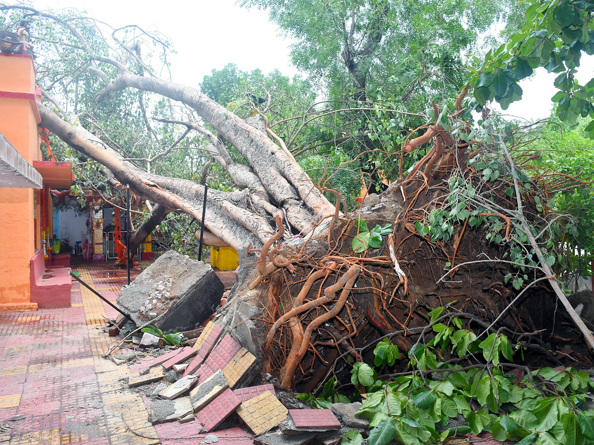 Best Photos of The Week in AP and Telangana Photo Gallery32