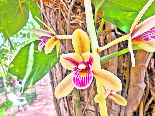 వైజాగ్లోవండర్ పార్క్ 4