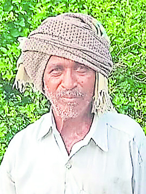లాభాల తీపి పంచుతున్న నల్ల చెరకు 2