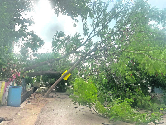 రోడ్డు ప్రమాదంలో ముగ్గురికి గాయాలు1