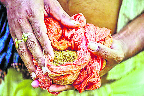 శ్రీమందిరంలో రాజప్రసాద్ విజే2