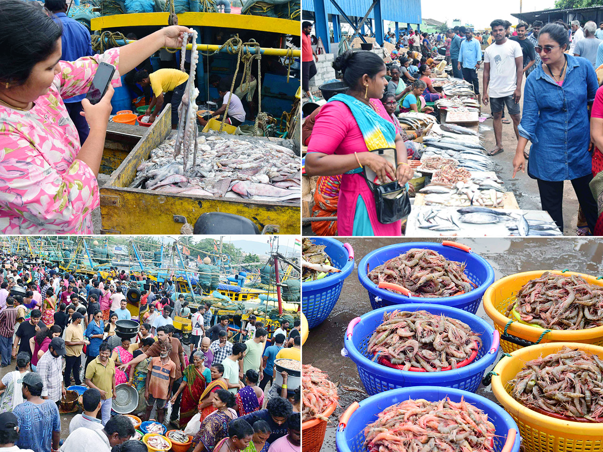 Fish Market in Visakhapatnam Photos1