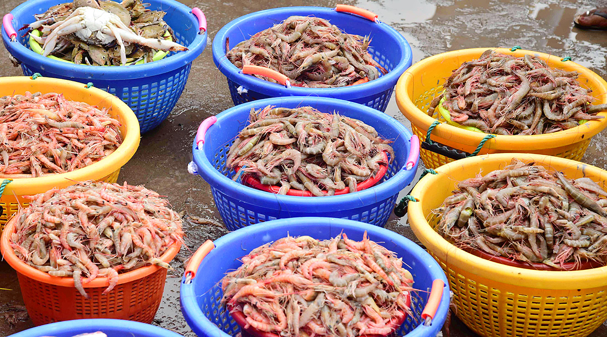 Fish Market in Visakhapatnam Photos10