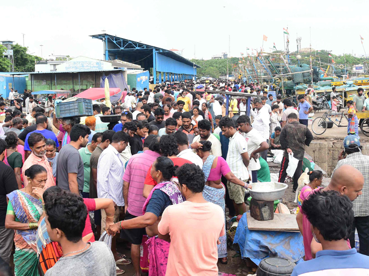 Fish Market in Visakhapatnam Photos3