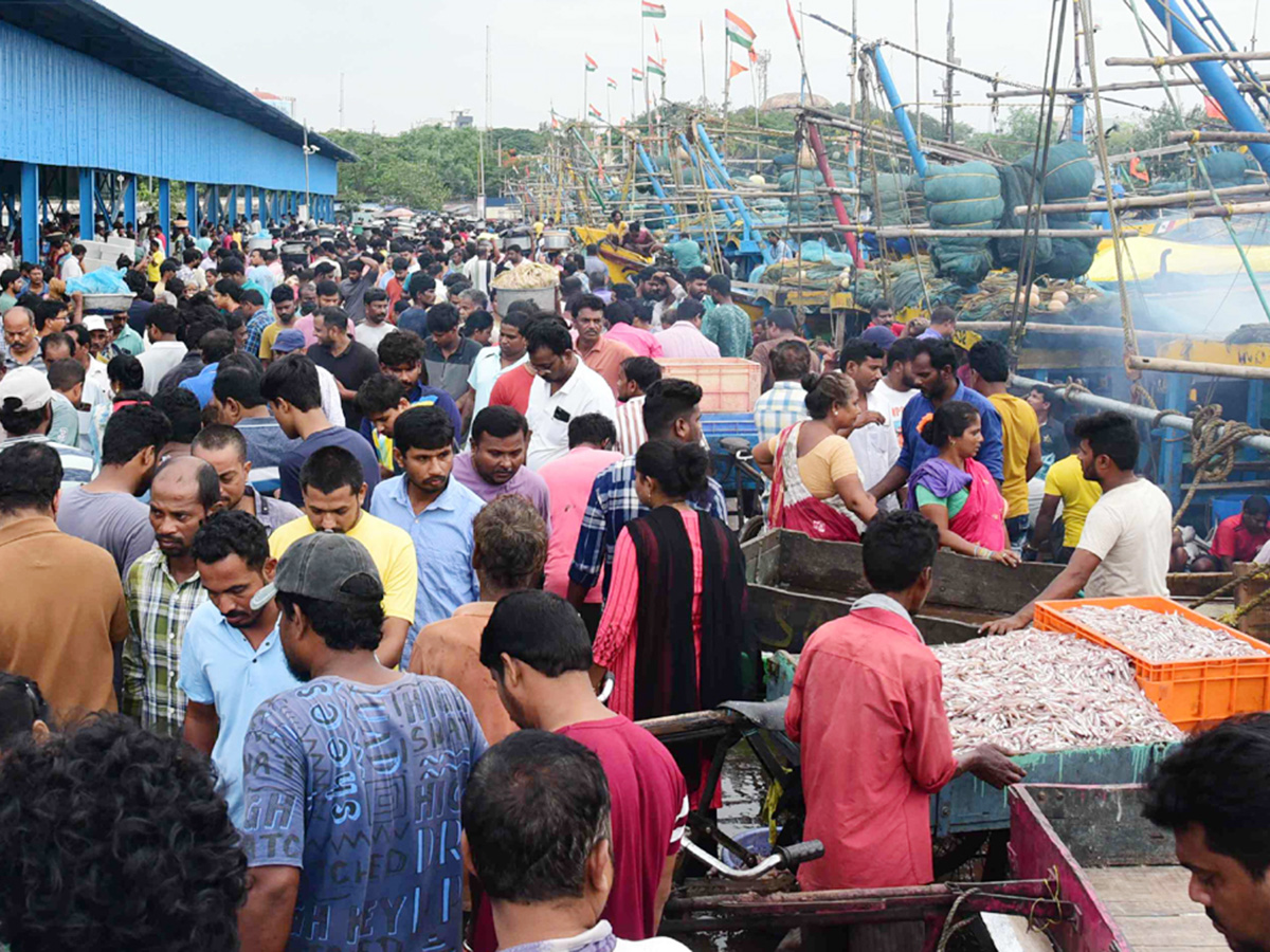 Fish Market in Visakhapatnam Photos4