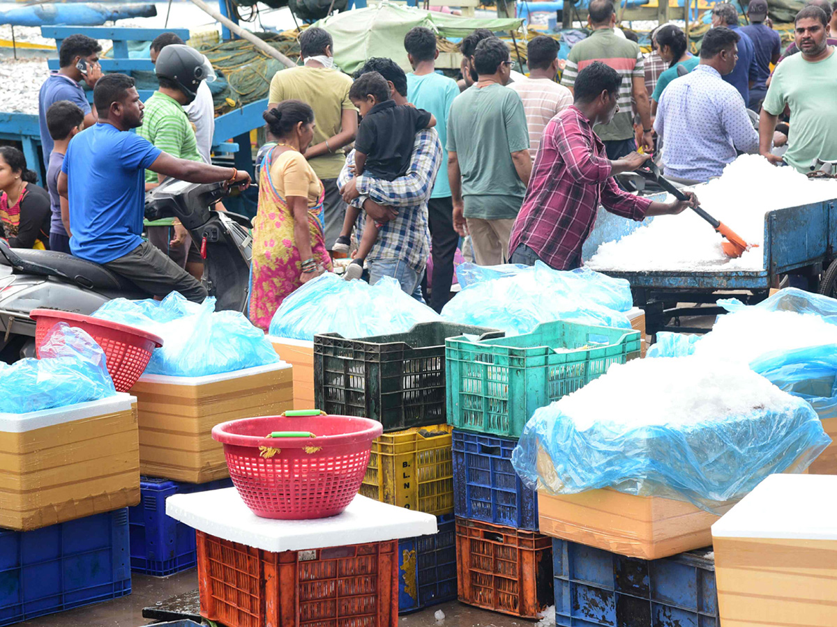 Fish Market in Visakhapatnam Photos5