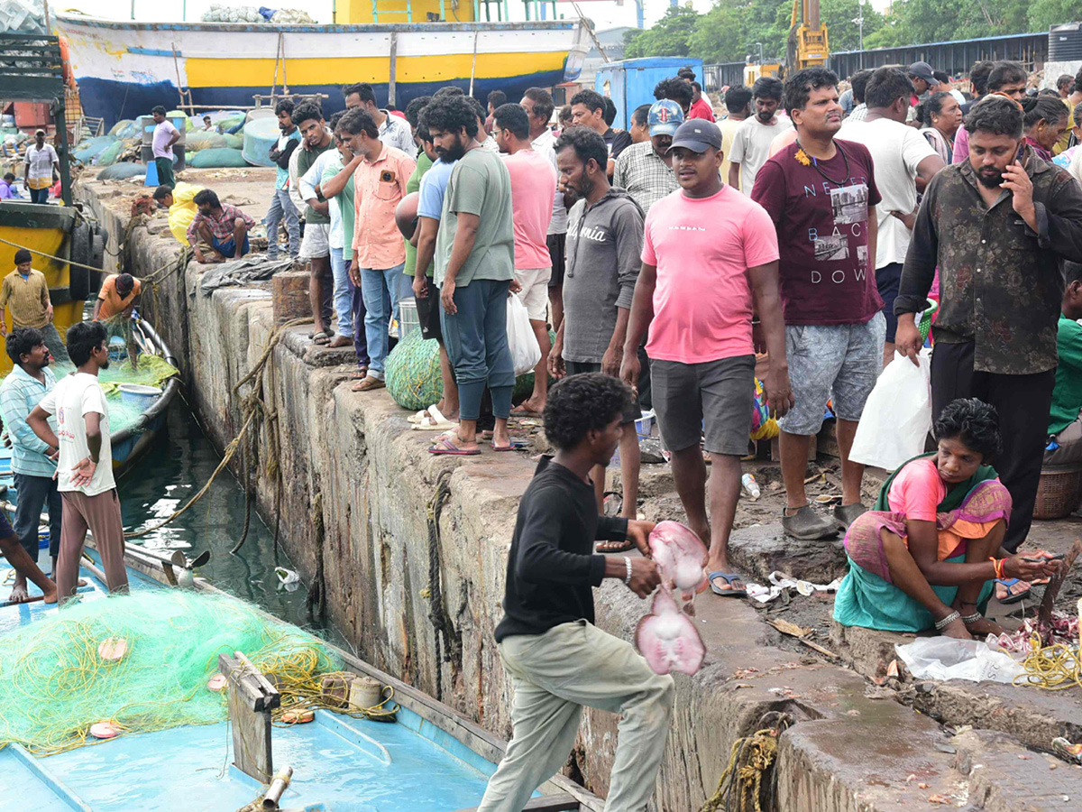 Fish Market in Visakhapatnam Photos6