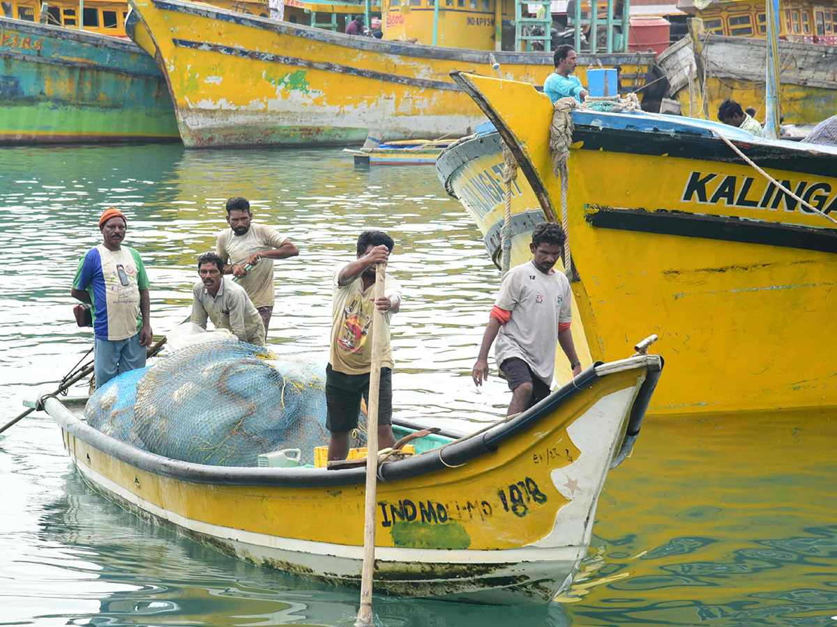 Fish Market in Visakhapatnam Photos7