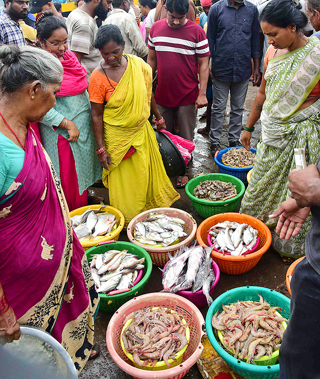 Fish Market in Visakhapatnam Photos8