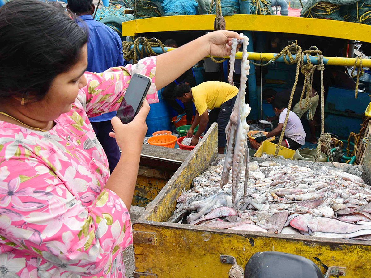 Fish Market in Visakhapatnam Photos9