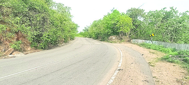 ఆహ్లాదం.. ఆరోగ్యం 2
