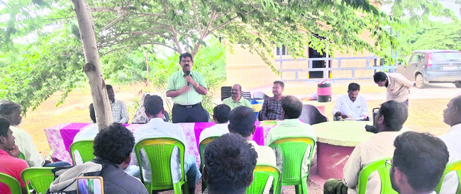 సస్యరక్షణ చర్యలతో మంచి దిగుబడులు 1