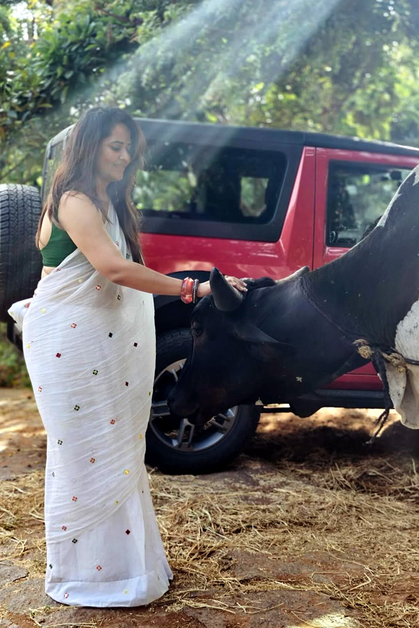 Anchor Anasuya Latest Beautiful Pictures15