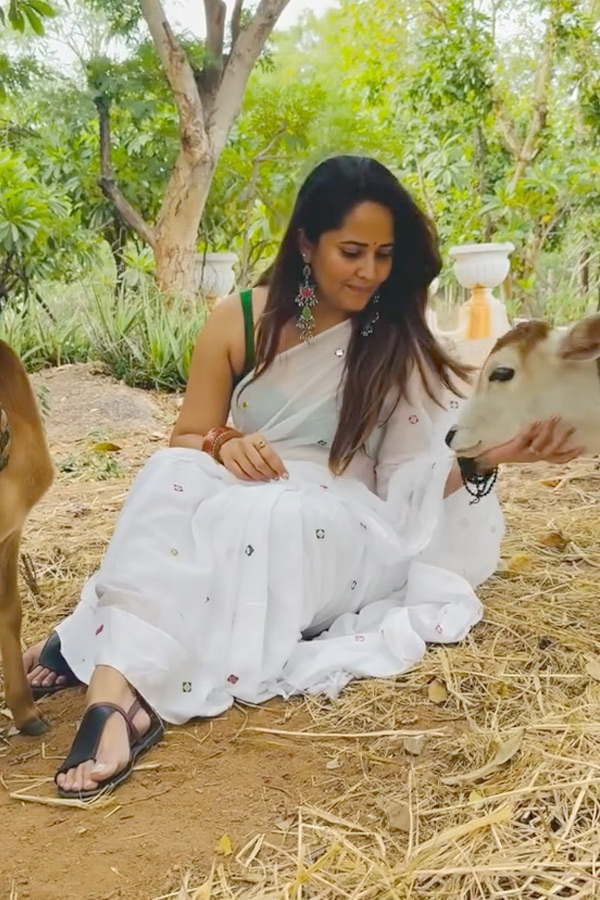 Anchor Anasuya Latest Beautiful Pictures3