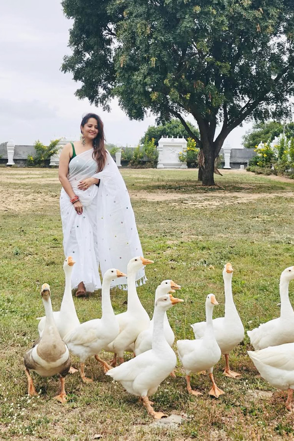 Anchor Anasuya Latest Beautiful Pictures10