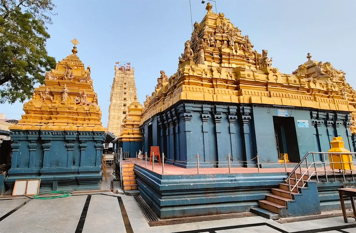 Devotional : Ksheera RamaLingeswara Swamy Temple in Palakollu Photos10