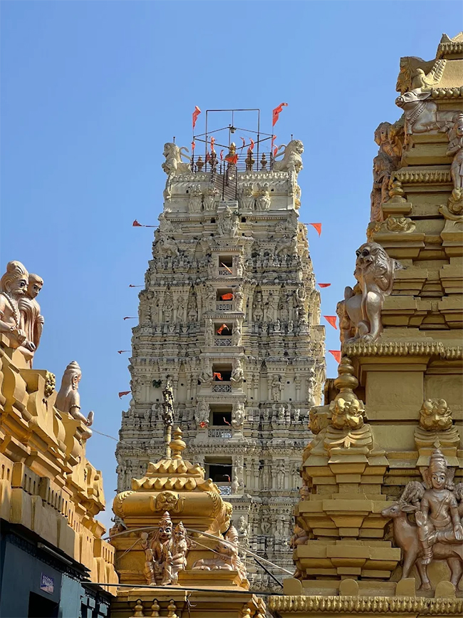 Devotional : Ksheera RamaLingeswara Swamy Temple in Palakollu Photos3