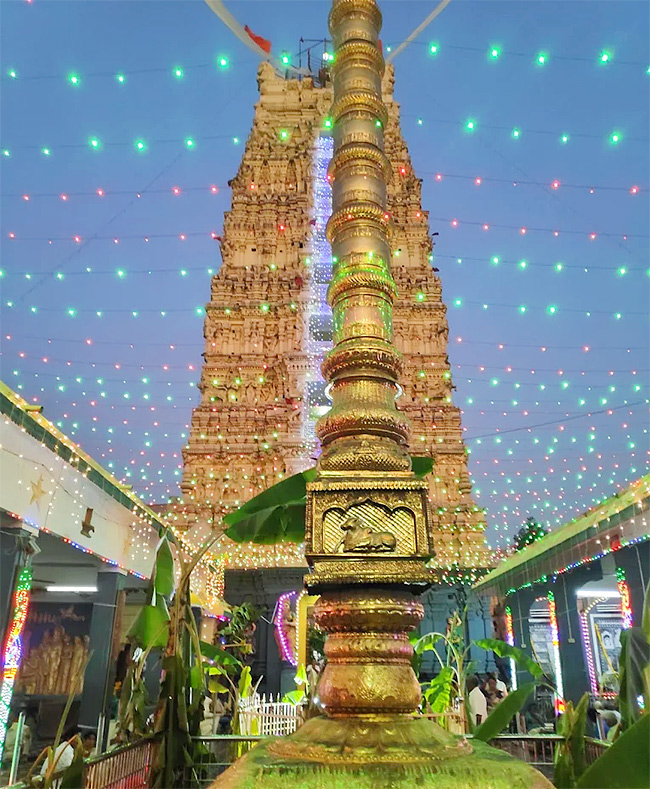 Devotional : Ksheera RamaLingeswara Swamy Temple in Palakollu Photos8