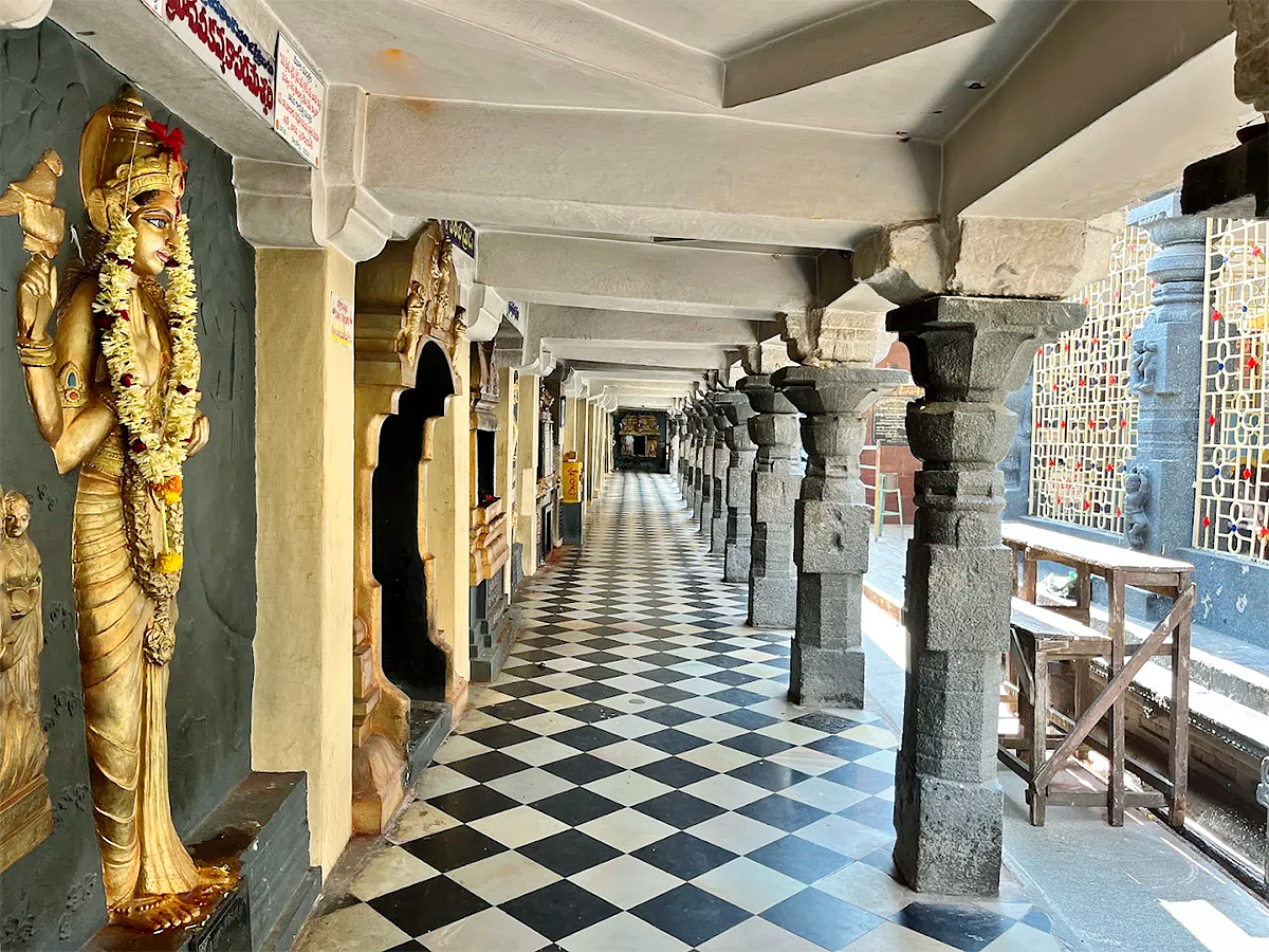 Devotional : Ksheera RamaLingeswara Swamy Temple in Palakollu Photos9