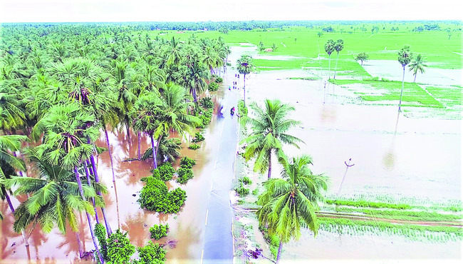 గుట్టుగా దోపిడీ!1